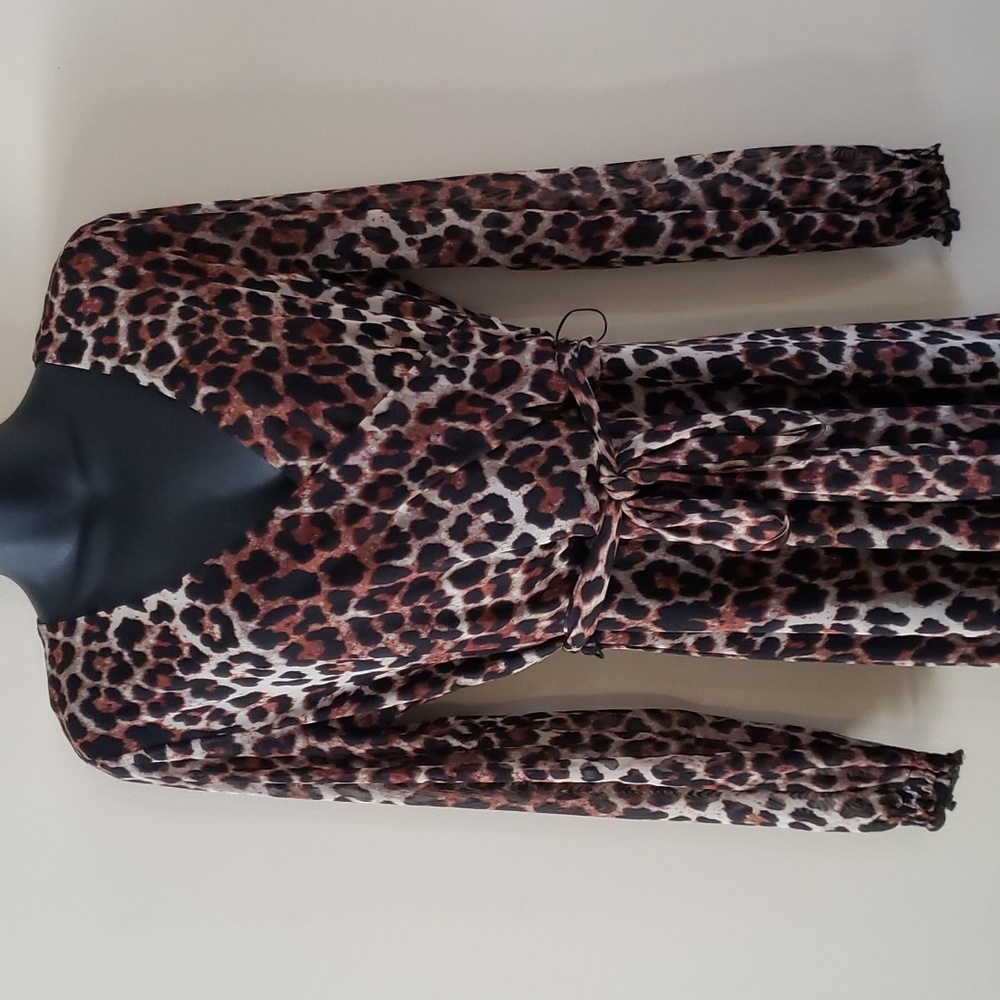 Allison Brittney dress